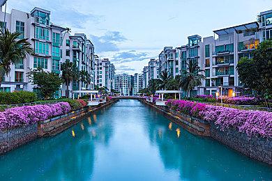 《人中之龙８》横山昌义一封信 介绍名称来源